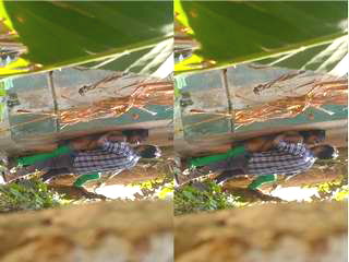 Today Exclusive Desi MMS Part | Bold Scene